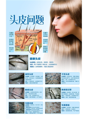头皮毛囊分析对比图海报展板头皮理疗常见头皮归类毛囊细胞再生术