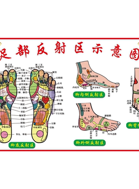 足部反射区大挂图足脚底穴位图足疗足浴人体经络穴位图海报