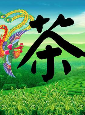 凤凰单丛茶茶农直销鸭屎香蜜兰香大鸟叶锯剁仔抽湿单丛海报展板