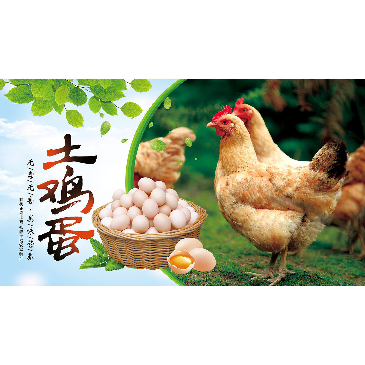 土鸡土鸭鸡蛋宣传画超市出售家禽店铺装饰背景墙画鸡肉分割图贴纸,淘宝优惠券,粉丝福利购,淘宝优惠卷