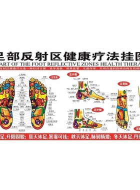 足部反射区健康疗法挂图脚部穴位图脚底穴位图足浴按摩自粘装饰画
