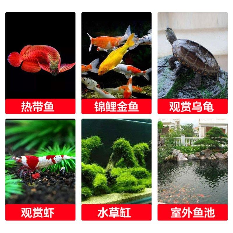 【鱼缸净水剂】告别鱼缸养鱼水浑浊腥臭发黄打造空气缸水质净化,淘宝优惠券,粉丝福利购,淘宝优惠卷