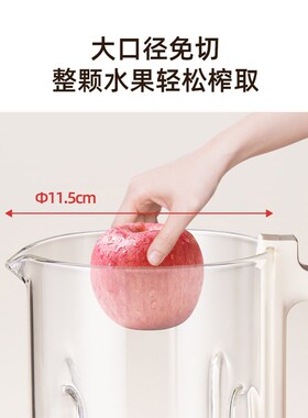 【国补15%】顺然榨汁机家用炸水果全自动加热小型迷你搅拌破壁机