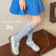 ເດັກຍິງ calf socks ພາກຮຽນ spring ແລະດູໃບໄມ້ລົ່ນແບບ Princess ແບບ