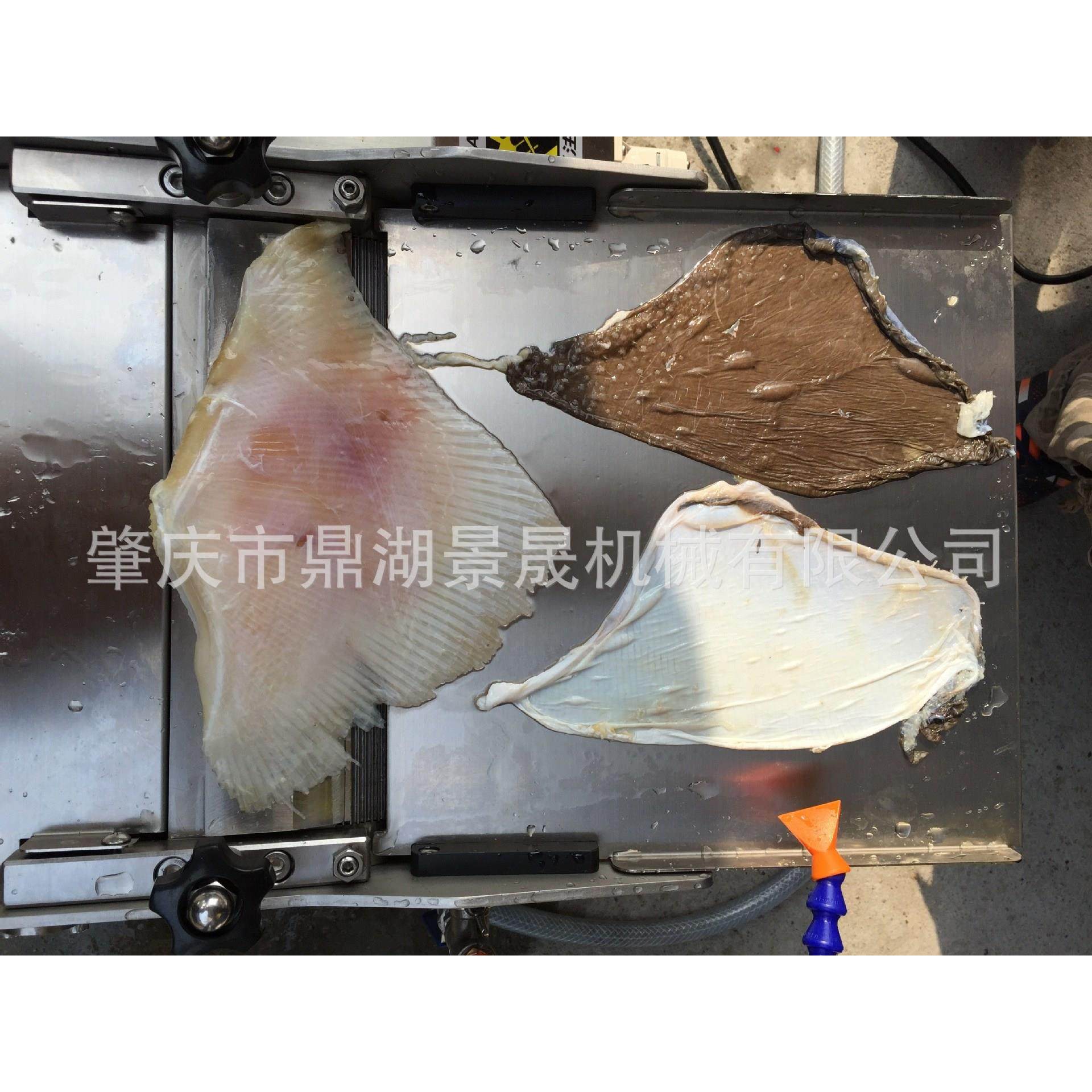 工厂秘鲁鱿鱼去皮机鱿鱼剥皮机鱿鱼脱皮机水产设备,淘宝优惠券,粉丝福利购,淘宝优惠卷