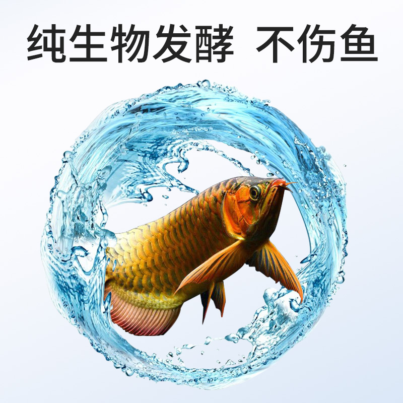 龙鱼硝化细菌鱼缸用消化活菌酸奶银龙鱼鹦鹉鱼招财发财专用净水剂 - 图1