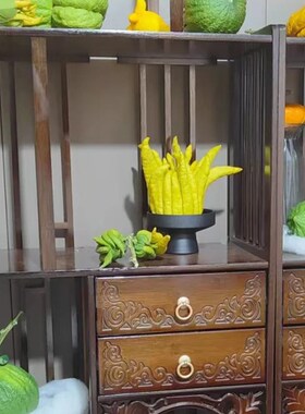 佛手柑瓶托盘水培瓶陶皿容器盆养观赏插