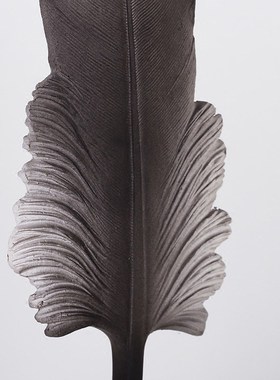 创意羽毛摆件书房客厅茶几电视柜摆设家居装饰工艺品摆饰装饰品