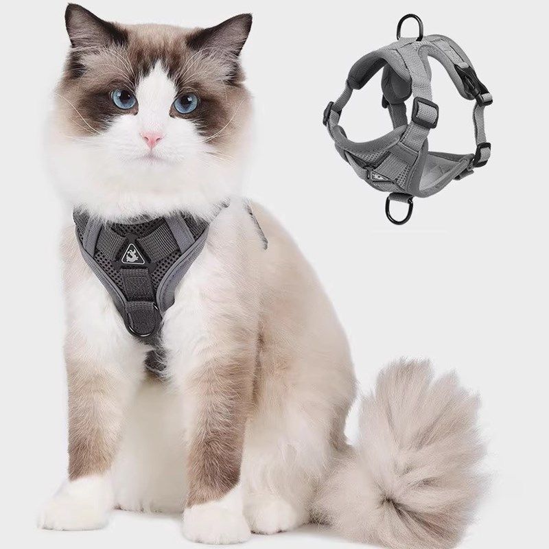 猫咪牵引绳防挣脱外出专用背心式遛溜猫绳宠物背带链子可调节网红,淘宝优惠券,粉丝福利购,淘宝优惠卷
