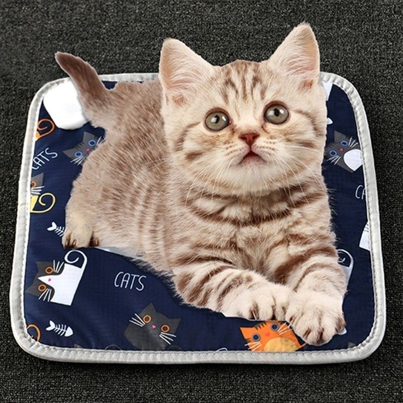 发热孵化狗狗蜜袋鼯替代品鹦鹉专用电热毯加热垫保温毯取暖器鸟类,淘宝优惠券,粉丝福利购,淘宝优惠卷