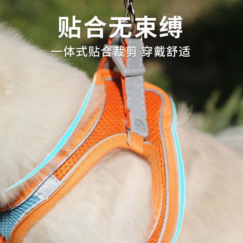 猫咪牵引绳防挣脱外出专用遛猫绳小型犬泰迪比熊胸背带绳子可调节,淘宝优惠券,粉丝福利购,淘宝优惠卷