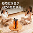 纽曼户外唱歌音响一体麦克风k歌低重音蓝牙音箱家庭KTV显示歌词