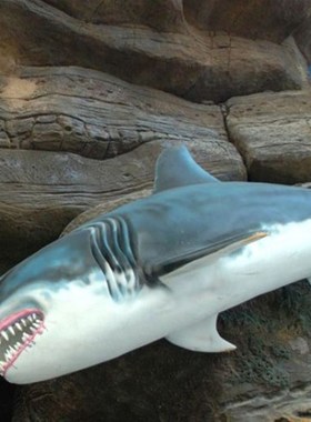 旅游区景观户外海洋动物彷真造型玻璃纤维 雕塑摆件尚雕坊厂家定