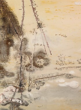 广西国画石天然奇石观赏石草花石木包摆件K屏风客厅工艺品tg125