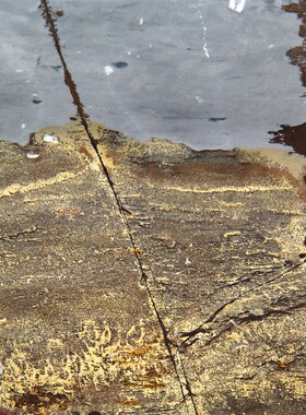 广西国画a石天然奇石观赏石草花石椭圆饼中式摆件客厅工艺品te49