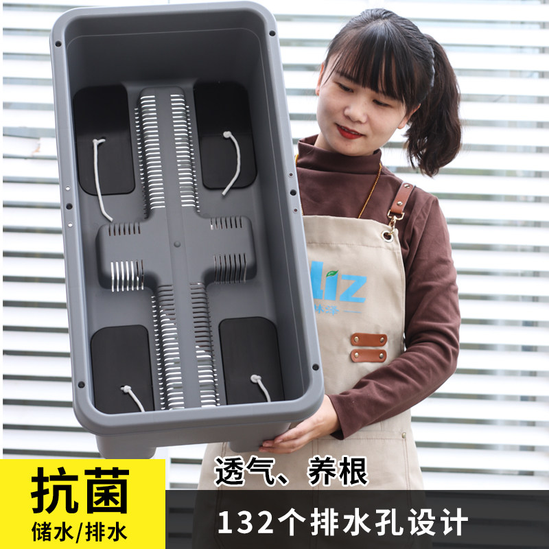 室内阳台种菜专用懒人花盆自吸水盆栽蔬菜花卉种植箱超大长方形,淘宝优惠券,粉丝福利购,淘宝优惠卷