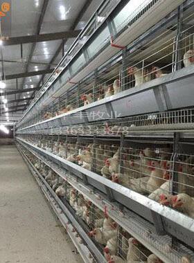 生产全自动层叠蛋鸡笼热镀锌坚硬方管蛋鸡笼自动除粪双面鸡笼