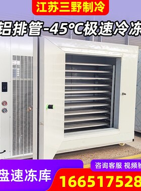江苏三野饺子面团包子海鲜速冻急冻机商用大容量冷库速冻冰柜定制