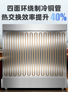 炸串麻辣烫菜品保鲜冷藏展示柜