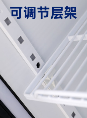 妮雪冷藏展示柜饮料柜立式冰箱保鲜柜双开门冷饮超市商用啤酒冰柜