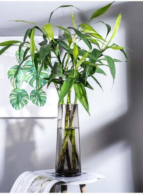 朗峰玻璃缸大号花瓶欧式花家居摆设花K插鱼缸转运竹富贵竹瓶