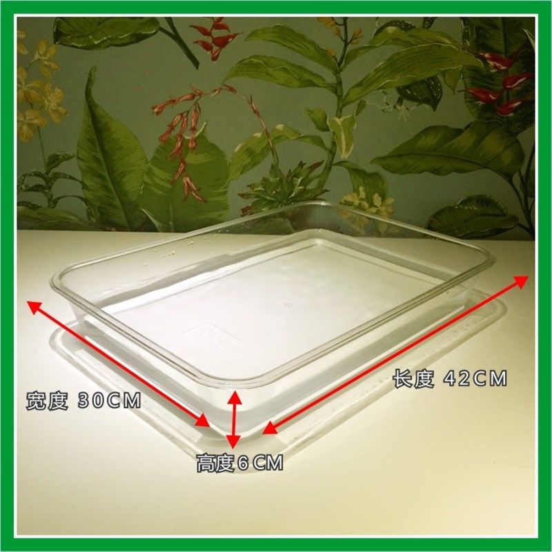 鹦鹉浴盆浴缸泡澡洗澡盆鸟用洗澡盒浴盆芦丁鸡超大洗澡缸洗澡盒,淘宝优惠券,粉丝福利购,淘宝优惠卷