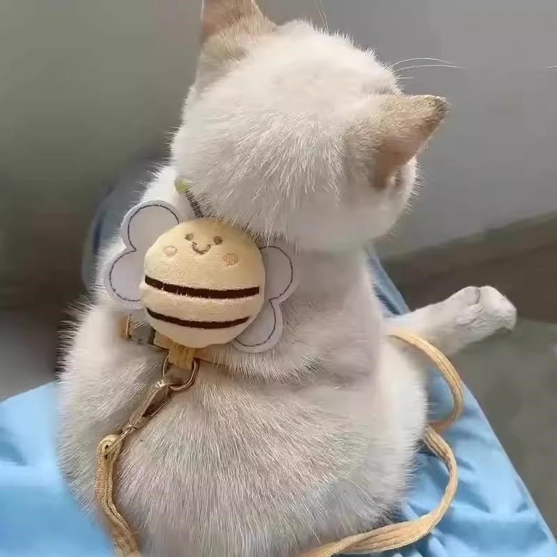 狗狗牵引绳外出遛狗专用猫咪防挣脱可调节蜜蜂工字型遛猫绳胸背带,淘宝优惠券,粉丝福利购,淘宝优惠卷