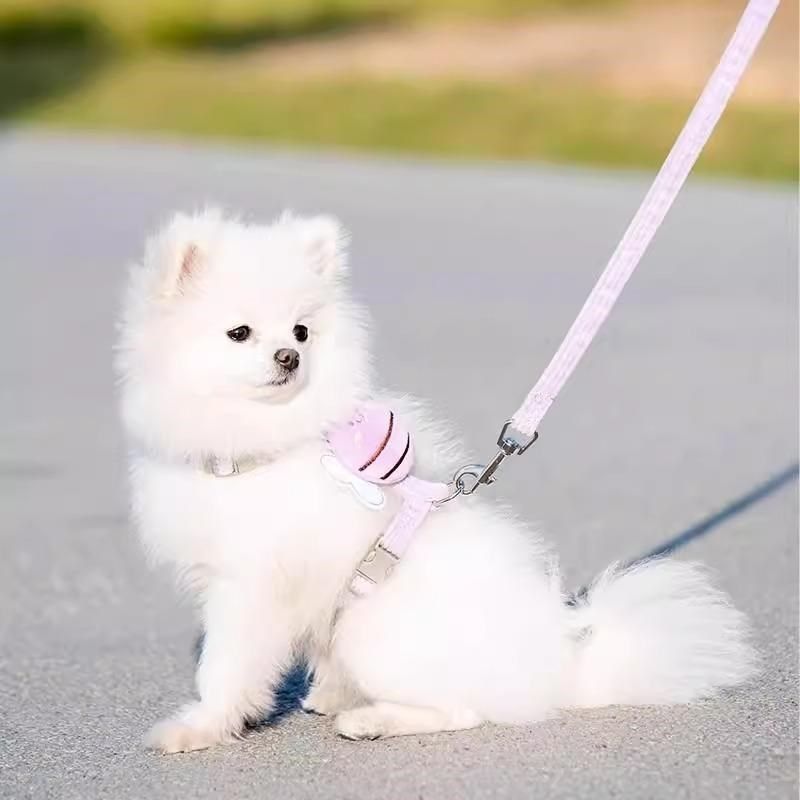 狗狗牵引绳外出遛狗专用猫咪防挣脱可调节蜜蜂工字型遛猫绳胸背带,淘宝优惠券,粉丝福利购,淘宝优惠卷