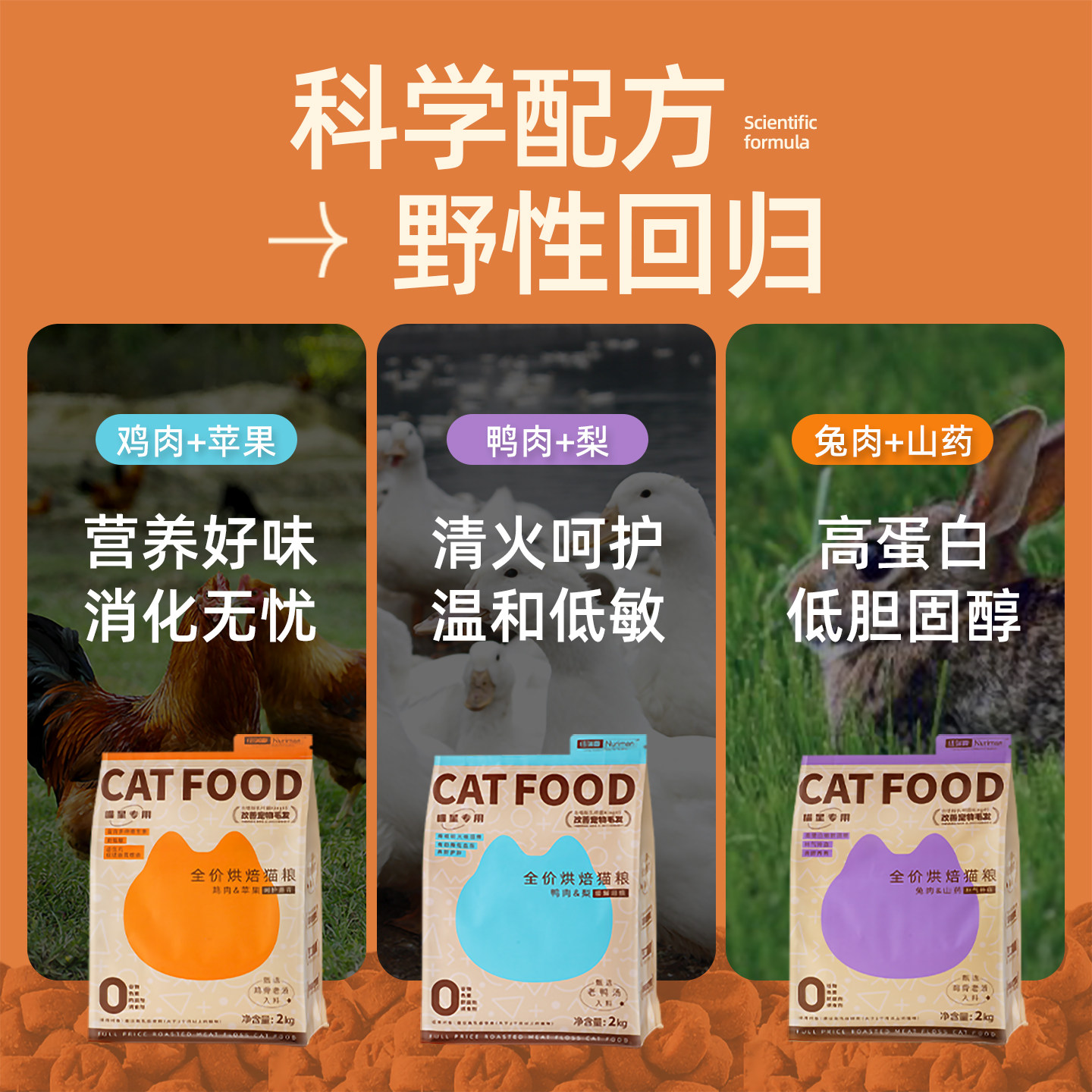 纽瑞曼低温烘焙猫粮鲜肉无谷高蛋白易吸收鸡肉鸭肉梨兔肉猫咪主食,淘宝优惠券,粉丝福利购,淘宝优惠卷