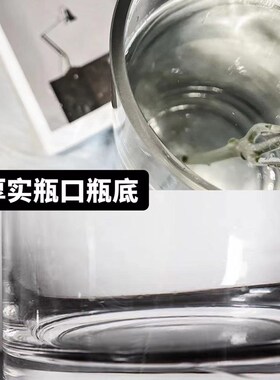 花瓶摆件客厅插花透明玻璃创意简约直筒富贵竹马醉木银柳家用