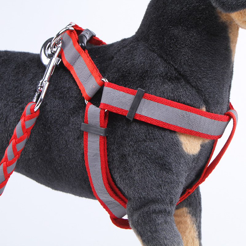 宠物狗反光牵引带中小型犬背带狗绳子泰迪贵宾犬宠物用品尼龙狗链,淘宝优惠券,粉丝福利购,淘宝优惠卷