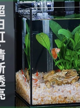 超白玻璃鱼缸小型客厅o办公室桌面新手养鱼水族小缸懒人造景水草