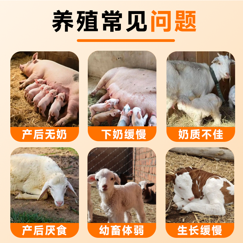 中海森奶多多母猪催奶兽用通乳下奶母畜牛羊产后催乳灵增奶水不足,淘宝优惠券,粉丝福利购,淘宝优惠卷