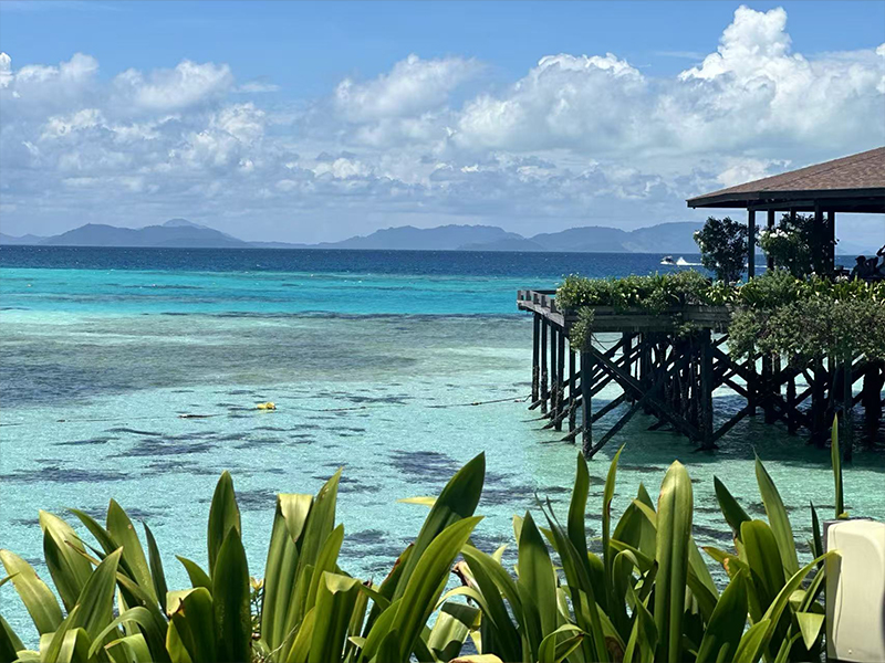 [ֱ]ֱɶɱлƱ[25kg,ɻ,ͻ] 899Ԫ