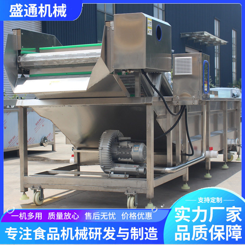 全自动樱桃气泡式清洗机 小型净菜加工生产线 蔬菜蓝莓鼓气泡清洗,淘宝优惠券,粉丝福利购,淘宝优惠卷