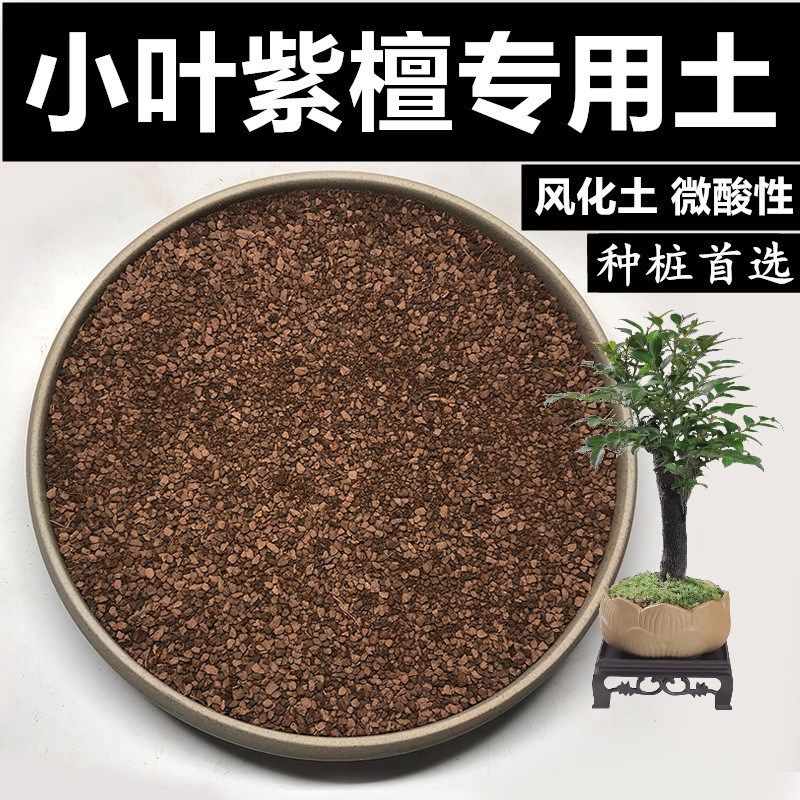 小叶紫檀土黑骨茶风化土颗粒土红沙土酸性盆景土赤玉土种桩专用土,淘宝优惠券,粉丝福利购,淘宝优惠卷