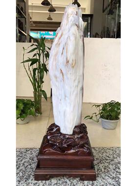 缅甸树化石原石天然硅化木奇石客厅石头木化石冰种树化玉桌面摆件