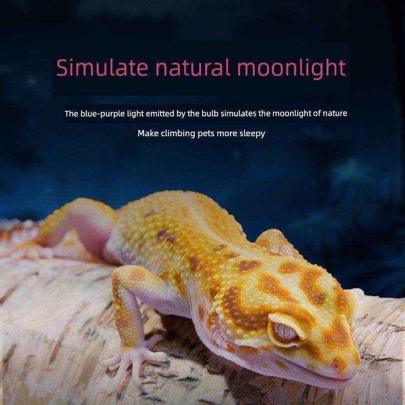 爬行动物宠物Uva加热夜灯蜥蜴加热灯壁虎蜥蜴繁殖箱绝缘龟箱龟灯,淘宝优惠券,粉丝福利购,淘宝优惠卷