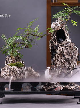 创意鱼缸高山流水摆件绿植盆景招财客厅室内桌面摆设业乔迁礼品
