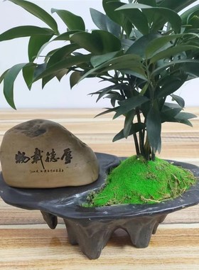 新疆哈密泥石雕刻石茶桌摆件茶宠绿植盆景鱼缸造景天然石头