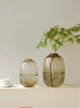 MOMO HOME家居简约马醉木花瓶大肚玻璃透明客厅插花摆件落地
