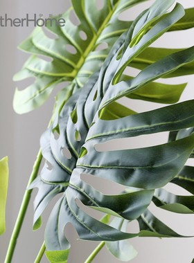 北欧落地绿植摆件 家居客厅办公室服装店装饰盆景 裂口芋植物摆设