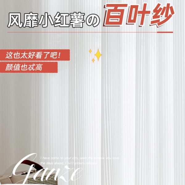 网红竖百叶纱帘白纱窗帘雪纺纱卧室飘窗透光不透人白色窗纱梦幻帘 - 图0