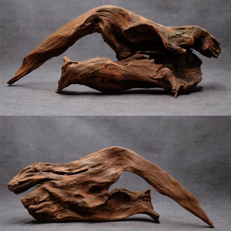 草缸装饰紫柚木多枝拱沉木天然爬宠晒龟空凤底座蜥蜴躲避造景陆用,淘宝优惠券,粉丝福利购,淘宝优惠卷