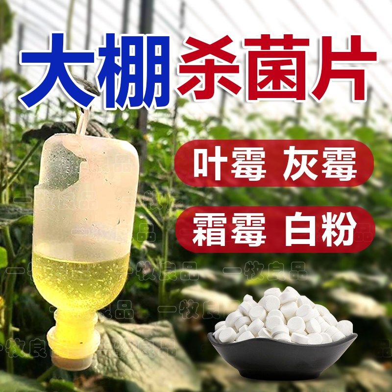 大棚空气杀菌消毒片大棚花卉蔬菜草莓杀菌剂农用叶霉灰霉霜霉白粉,淘宝优惠券,粉丝福利购,淘宝优惠卷