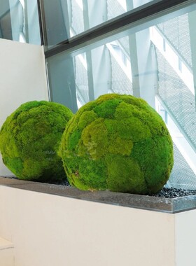 新永生苔藓球 假山石景观  样板间样品屋展示中心水酒店饭厅空间