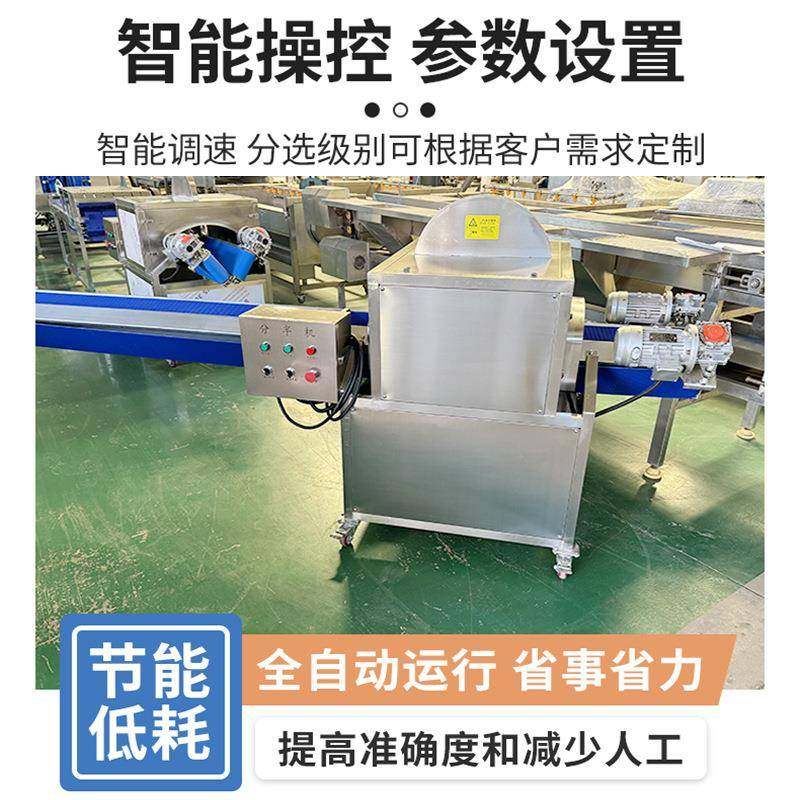 工厂直供果蔬分半机商用球茎类劈半机大头菜柠檬胡萝卜分两瓣机器,淘宝优惠券,粉丝福利购,淘宝优惠卷