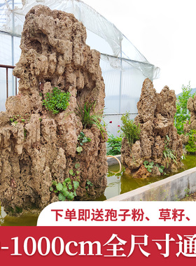 客厅大型天然吸水石假山盆景庭院鱼池上水石流水装饰造景