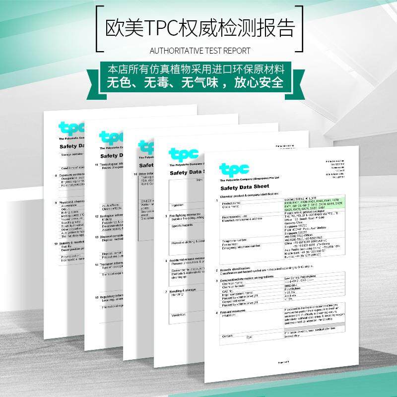 罗曼妈妈北欧仿真植物盆栽假仙人掌大型落地装饰客厅室内盆景绿植,淘宝优惠券,粉丝福利购,淘宝优惠卷