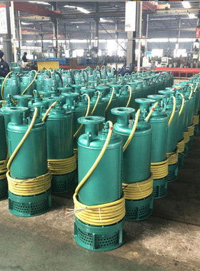 BQS矿用隔爆型潜水排沙电泵BQS50-38-11N矿用防爆排污泵潜水泵